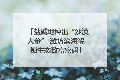 盐碱地种出“沙漠人参” 潍坊滨海解锁生态致富密码