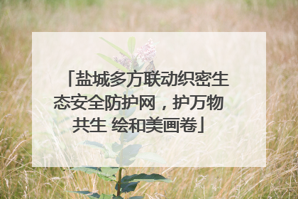 盐城多方联动织密生态安全防护网，护万物共生 绘和美画卷