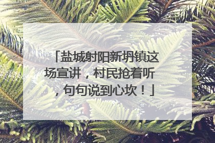 盐城射阳新坍镇这场宣讲，村民抢着听，句句说到心坎！
