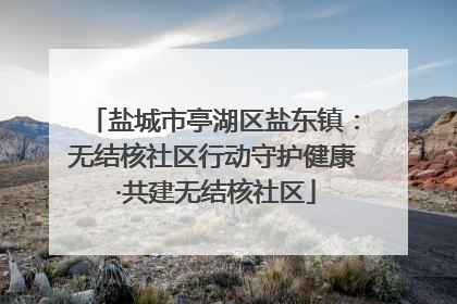 盐城市亭湖区盐东镇：无结核社区行动守护健康 ·共建无结核社区