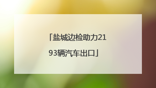 盐城边检助力2193辆汽车出口