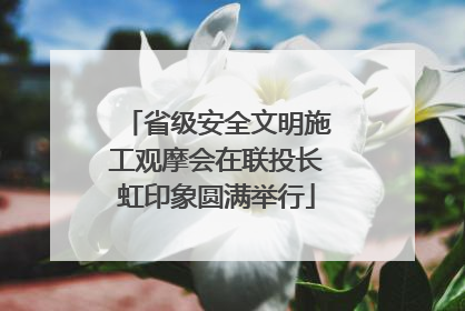 省级安全文明施工观摩会在联投长虹印象圆满举行