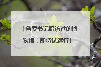 省委书记暗访过的博物馆，即将试运行