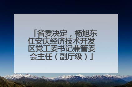 省委决定，杨旭东任安庆经济技术开发区党工委书记兼管委会主任（副厅级）