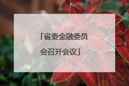 省委金融委员会召开会议