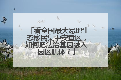 看全国最大易地生态移民集中安置区，如何把法治基因融入园区肌体？