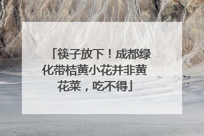 筷子放下！成都绿化带桔黄小花并非黄花菜，吃不得