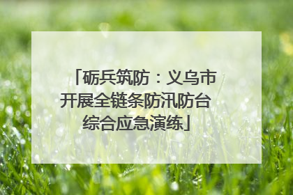 砺兵筑防：义乌市开展全链条防汛防台综合应急演练