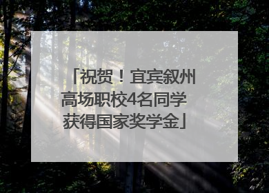 祝贺！宜宾叙州高场职校4名同学获得国家奖学金