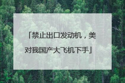 禁止出口发动机，美对我国产大飞机下手