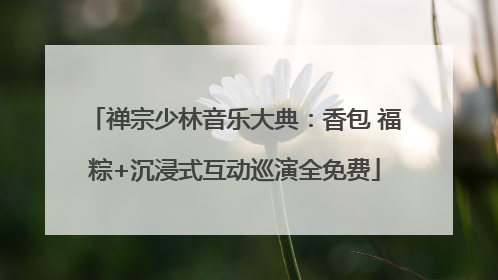 禅宗少林音乐大典：香包 福粽+沉浸式互动巡演全免费