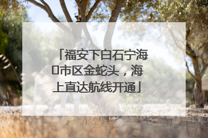 福安下白石宁海⇆市区金蛇头，海上直达航线开通