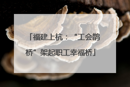 福建上杭：“工会鹊桥”架起职工幸福桥