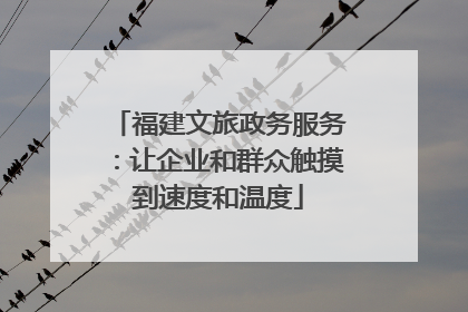 福建文旅政务服务：让企业和群众触摸到速度和温度