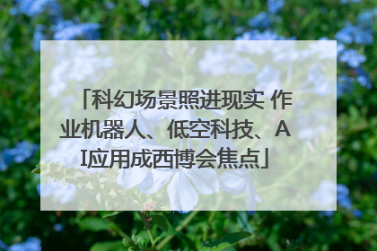 科幻场景照进现实 作业机器人、低空科技、AI应用成西博会焦点
