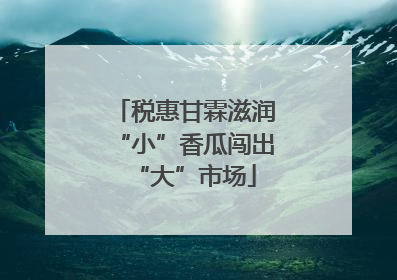 税惠甘霖滋润“小”香瓜闯出“大”市场