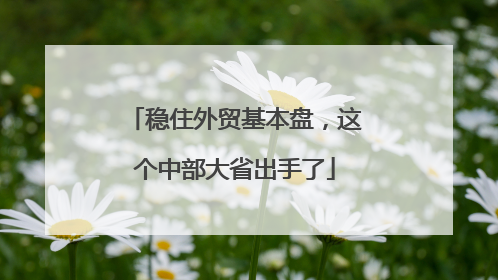 稳住外贸基本盘，这个中部大省出手了