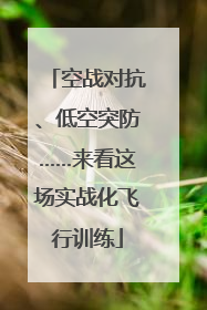 空战对抗、低空突防……来看这场实战化飞行训练