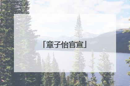 章子怡官宣