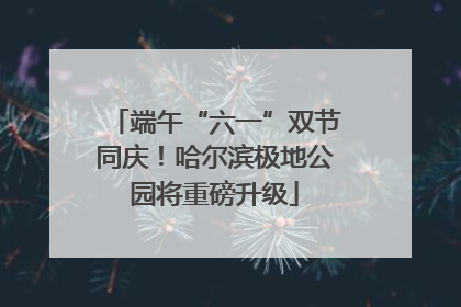 端午“六一”双节同庆！哈尔滨极地公园将重磅升级