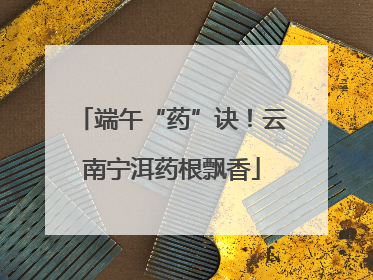 端午“药”诀！云南宁洱药根飘香