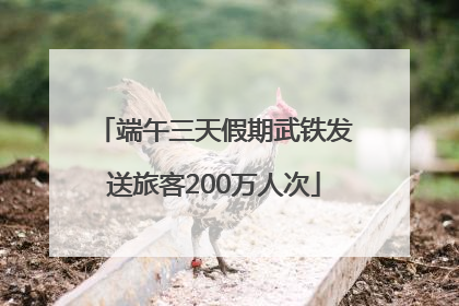 端午三天假期武铁发送旅客200万人次