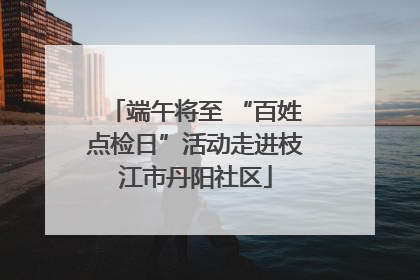 端午将至 “百姓点检日”活动走进枝江市丹阳社区
