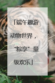 端午趣游动物世界，“粽享”量级欢乐