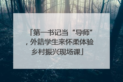 第一书记当“导师”，外籍学生来怀柔体验乡村振兴现场课