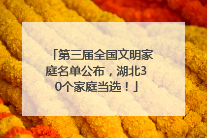 第三届全国文明家庭名单公布，湖北30个家庭当选！