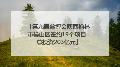 第九届丝博会陕西榆林市横山区签约19个项目 总投资203亿元