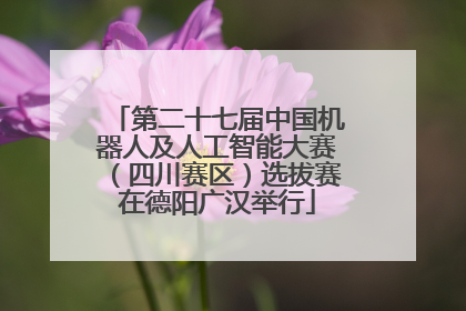 第二十七届中国机器人及人工智能大赛（四川赛区）选拔赛在德阳广汉举行