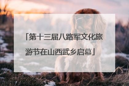 第十三届八路军文化旅游节在山西武乡启幕