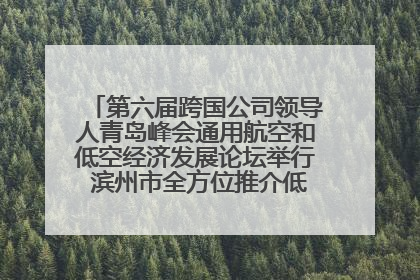 第六届跨国公司领导人青岛峰会通用航空和低空经济发展论坛举行 滨州市全方位推介低空经济发展优势