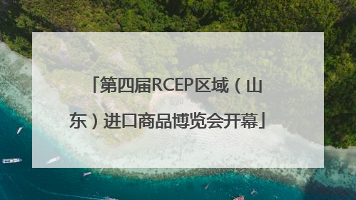第四届RCEP区域（山东）进口商品博览会开幕