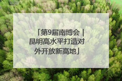 第9届南博会｜昆明高水平打造对外开放新高地