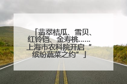 翡翠桔瓜、雪贝、红铃铛、金寿桃……上海市农科院开启“缤纷蔬菜之约”