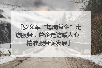 罗文军“每周益企”走访服务：益企走访暖人心 精准服务促发展
