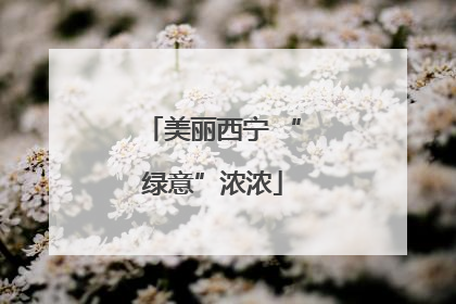 美丽西宁 “绿意”浓浓