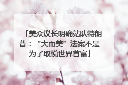 美众议长明确站队特朗普：“大而美”法案不是为了取悦世界首富