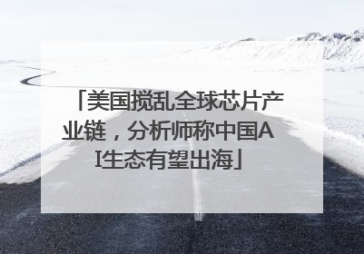 美国搅乱全球芯片产业链，分析师称中国AI生态有望出海