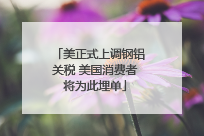美正式上调钢铝关税 美国消费者将为此埋单