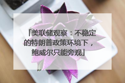 美联储观察：不稳定的特朗普政策环境下，鲍威尔只能旁观
