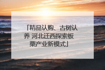 精品认购、古树认养 河北迁西探索板栗产业新模式