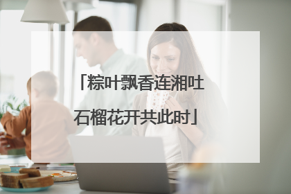 粽叶飘香连湘吐 石榴花开共此时