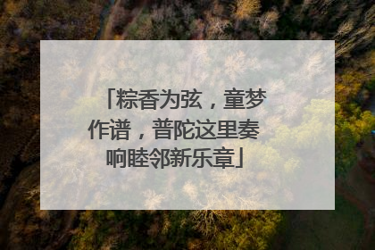 粽香为弦，童梦作谱，普陀这里奏响睦邻新乐章