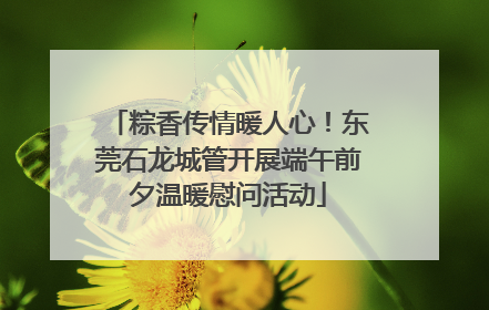 粽香传情暖人心！东莞石龙城管开展端午前夕温暖慰问活动