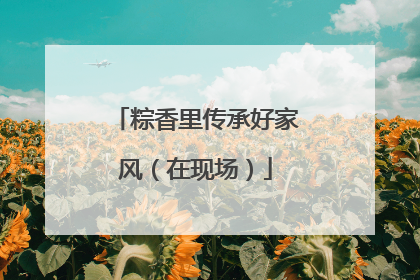 粽香里传承好家风（在现场）