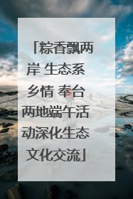 粽香飘两岸 生态系乡情 奉台两地端午活动深化生态文化交流