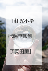 红光小学把课堂搬到了麦田里